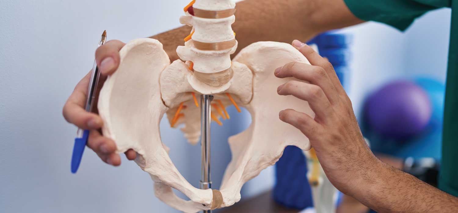 A medical provider referencing a pelvic bone model.